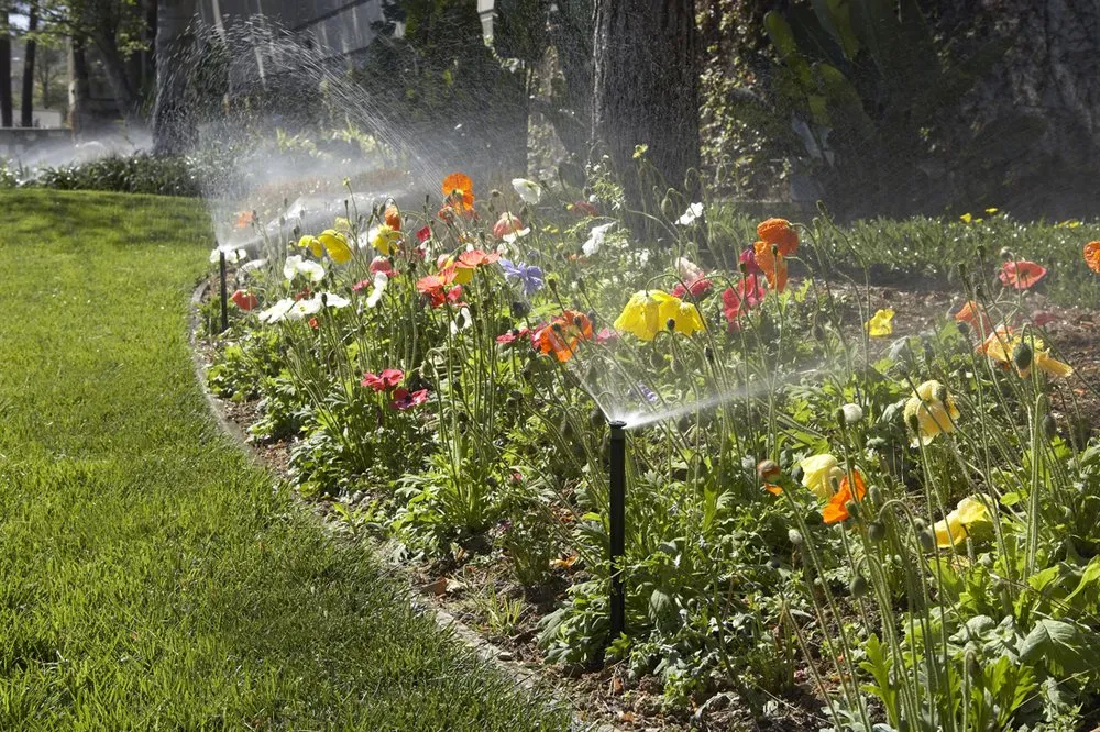Expert landscaping services for year-round maintenance across St. Paul Park, MN - NorthTech Irrigation