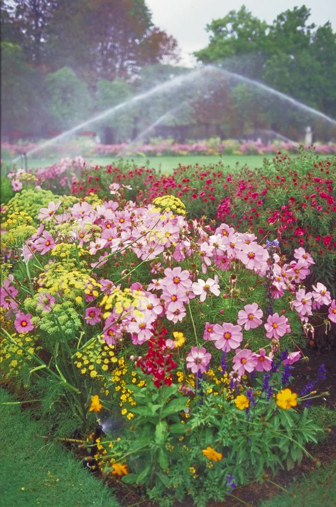 Reliable landscape design in St. Paul Park, MN by NorthTech Irrigation