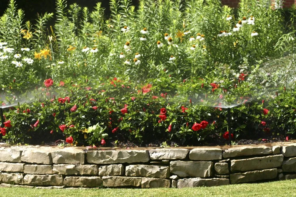 Local outdoor landscaping in St. Paul Park, MN by NorthTech Irrigation