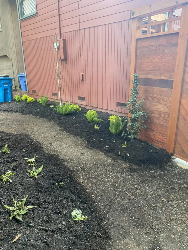 Expert yard cleanup service for year-round maintenance in Windsor, CA by Northview Landscaping