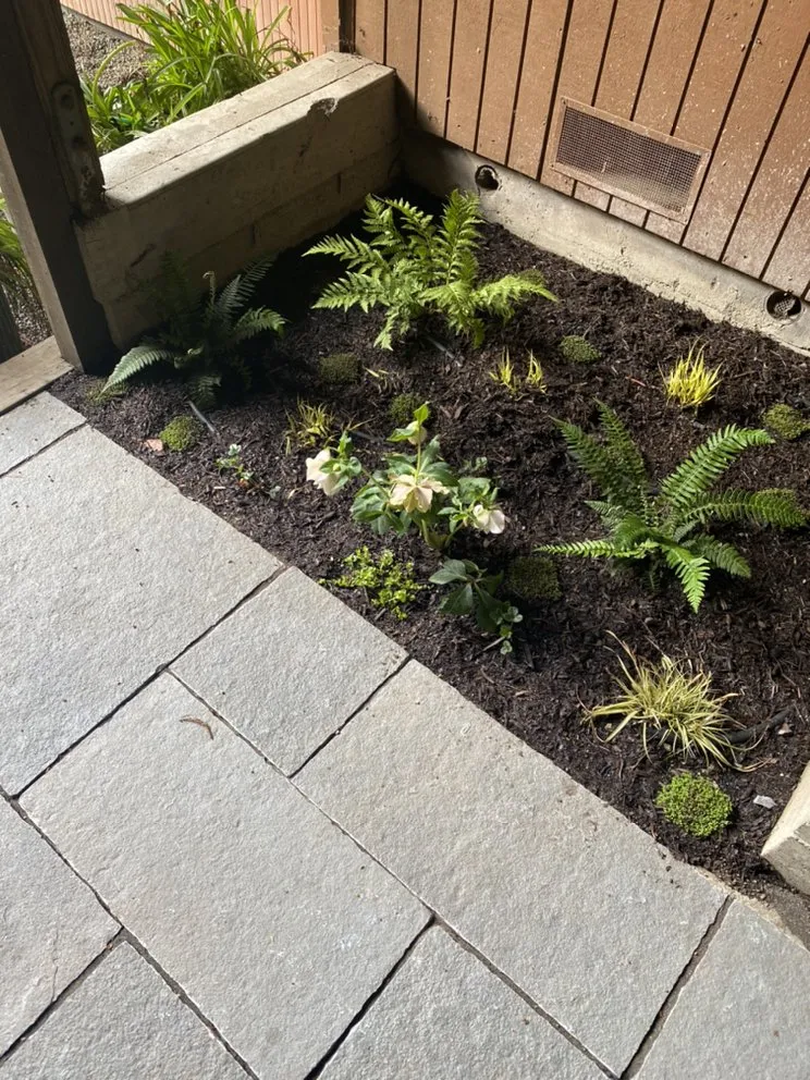 Reliable garden landscaping experts serving Windsor, CA - Northview Landscaping