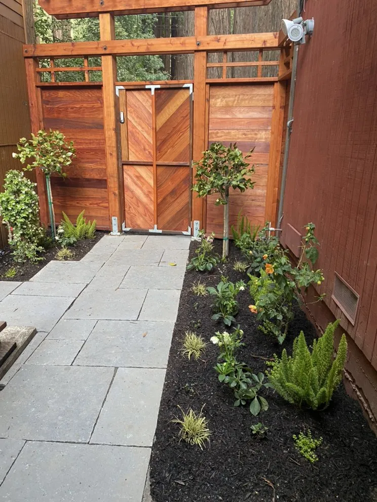 Professional lawn care service experts serving Windsor, CA - Northview Landscaping