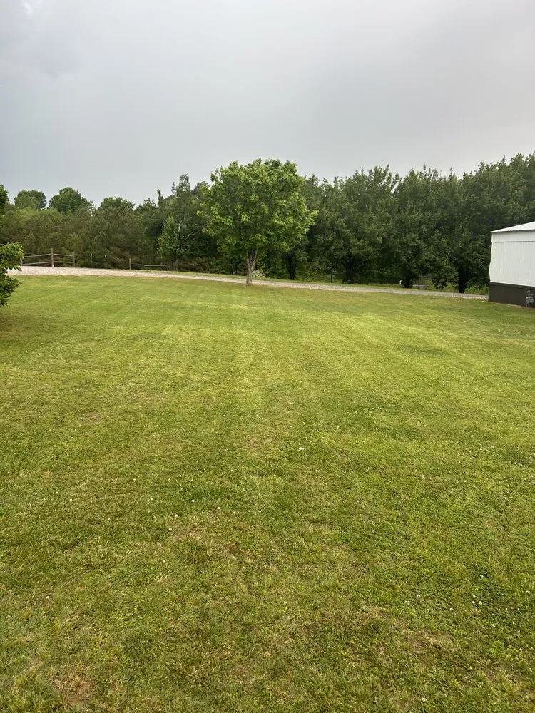 Expert lawn care service for beautiful yards in Spruce Pine, AL by Northwest Alabama Lawn Care