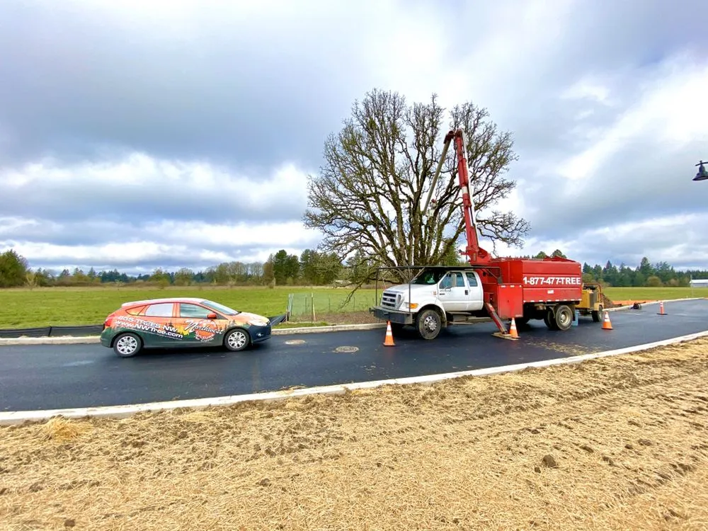 Affordable yard maintenance with custom design across Newberg, OR - Northwest Arbor-Culture - Tree Services