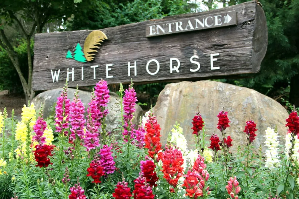 Reliable landscaping services experts serving Bremerton, WA - Northwest Construction & Landscape