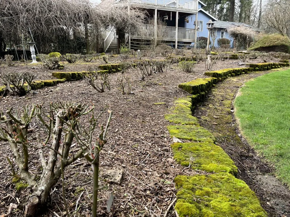 Custom yard cleanup service near you across Newberg, OR - Northwest D&R Landscape