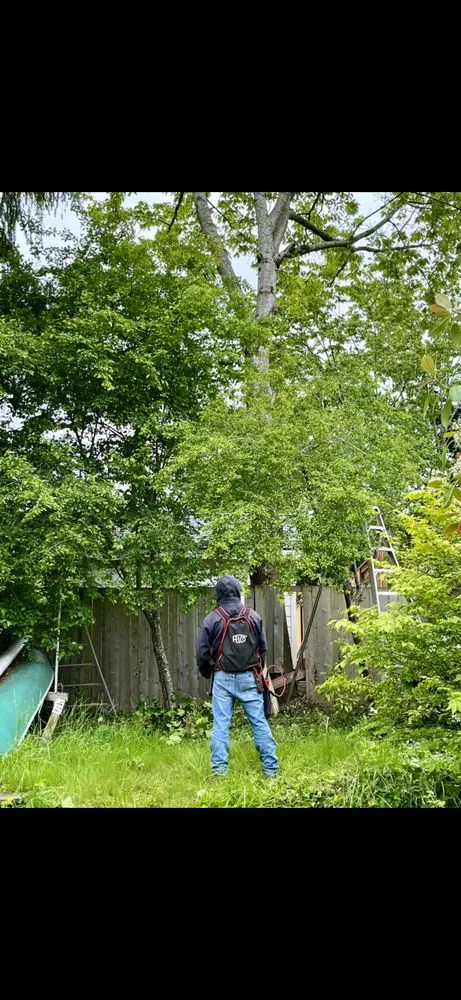 Local garden landscaping in Newberg, OR - Northwest D&R Landscape