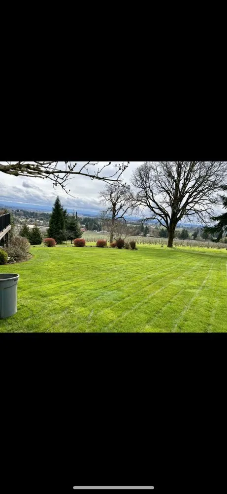 Local landscaping services near you in Newberg, OR by Northwest D&R Landscape