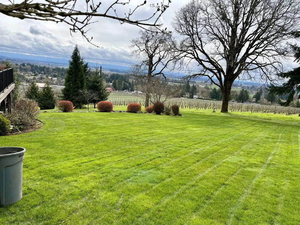 Top-rated landscaping services near you in Newberg, OR by Northwest D&R Landscape