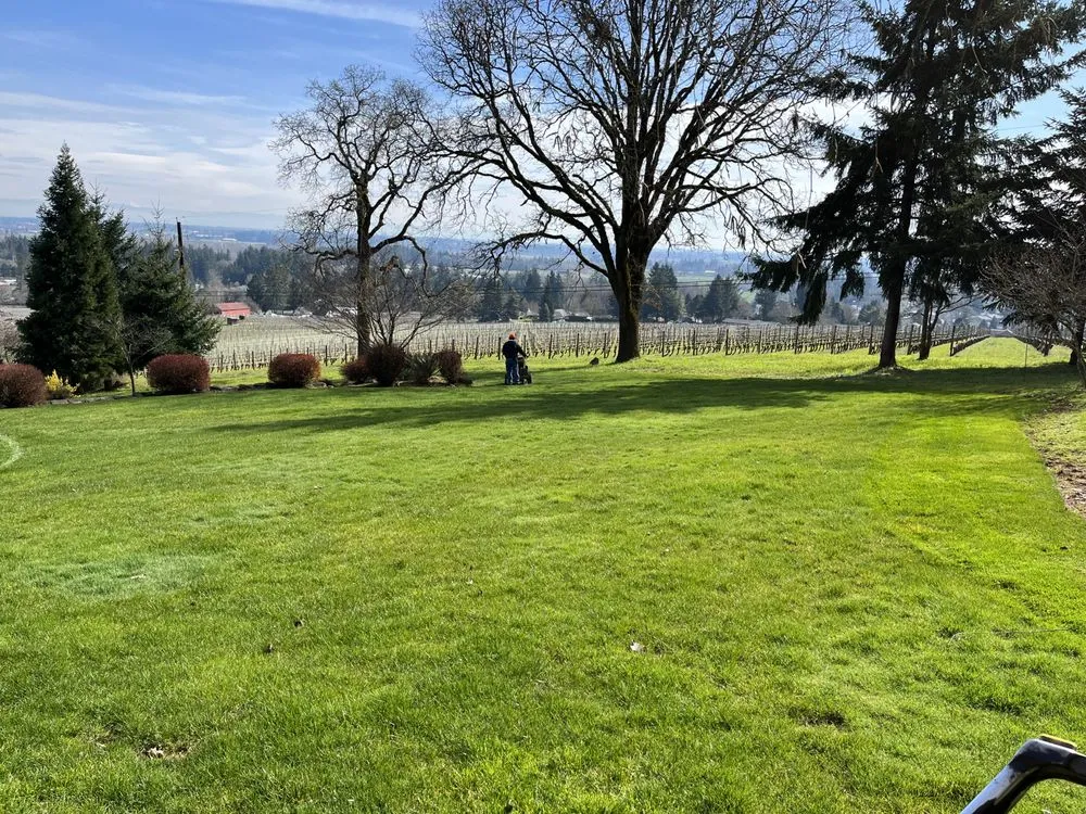 Reliable lawn care service for homes across Newberg, OR - Northwest D&R Landscape