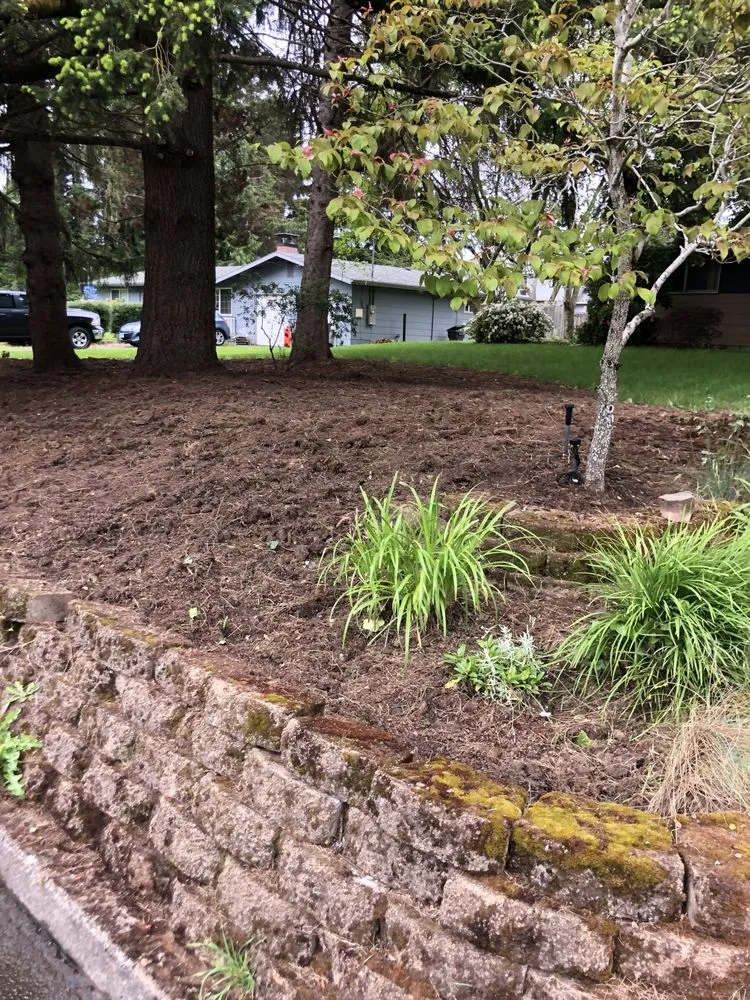 Reliable yard cleanup service in Newberg, OR by Northwest D&R Landscape