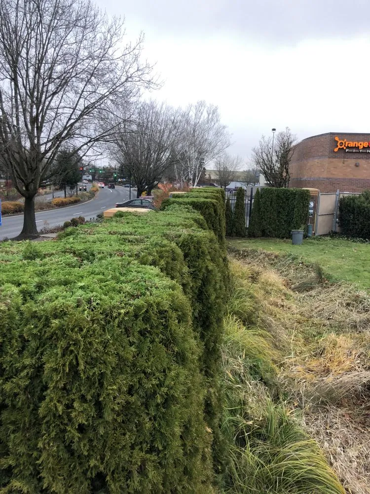 Reliable yard maintenance experts serving Newberg, OR - Northwest D&R Landscape