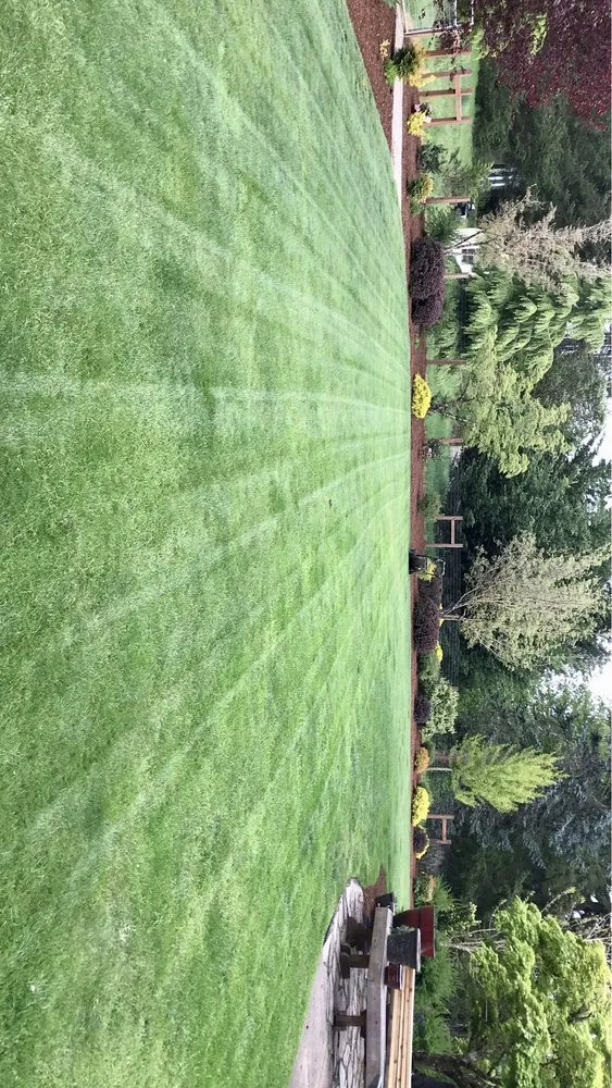 Trusted yard cleanup service in Newberg, OR - Northwest D&R Landscape