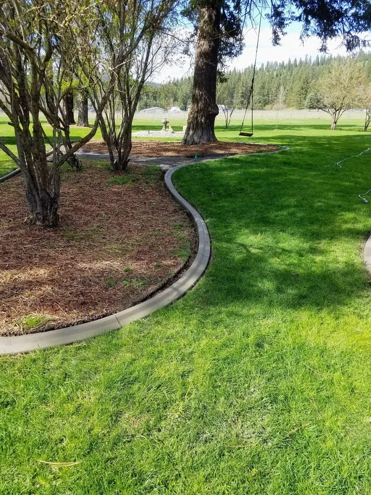 Professional yard cleanup service in Spokane Valley, WA - Northwest Edge