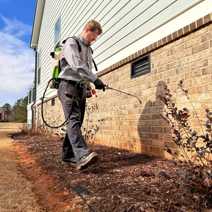 Trusted yard cleanup service experts serving Jasper, AL - Northwest Exterminating
