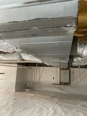 Northwest Exterminating