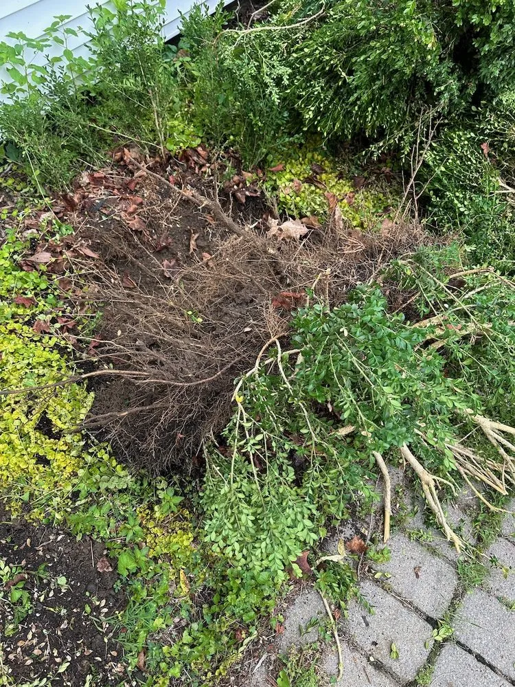 Custom landscape installation experts serving Litchfield, CT - Northwest Hills Solutions