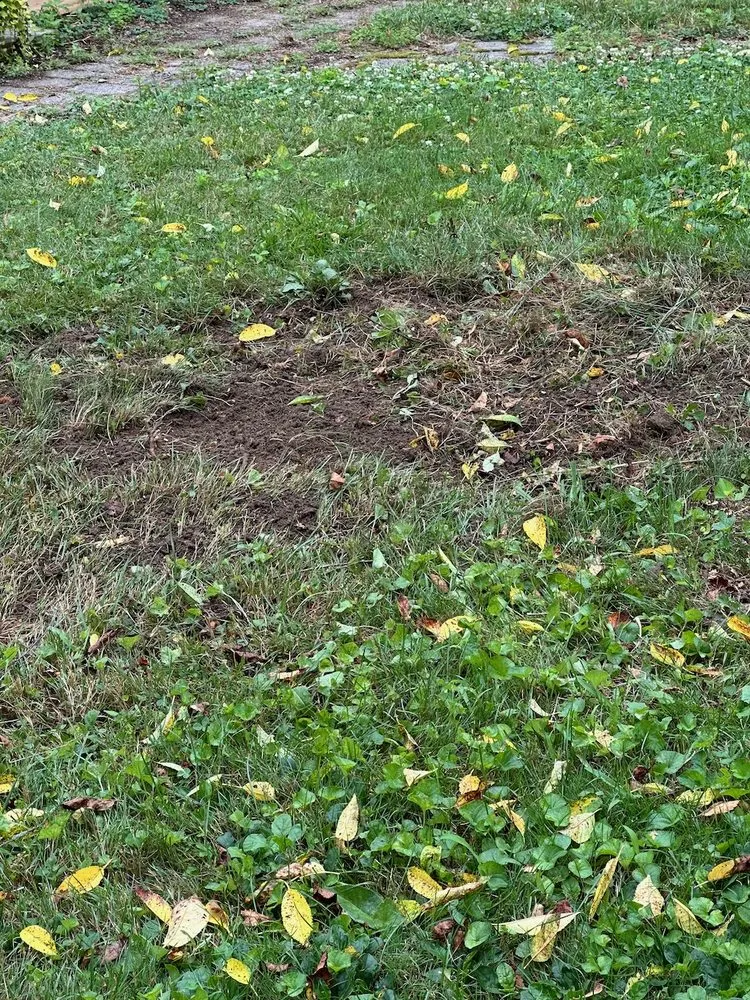 Custom outdoor landscaping in Litchfield, CT by Northwest Hills Solutions