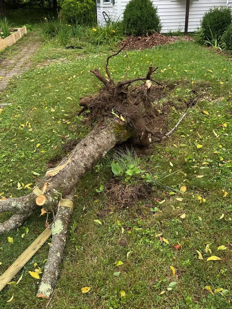 Local lawn care service for residential properties in Litchfield, CT by Northwest Hills Solutions