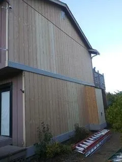 Affordable yard cleanup service near you in Shelton, WA by Northwest Home Improvement & Services