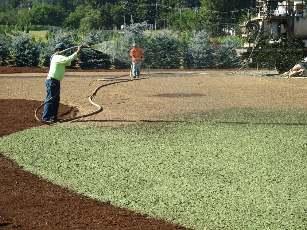 Affordable landscape installation in Boring, OR - Northwest Hydro-Mulchers