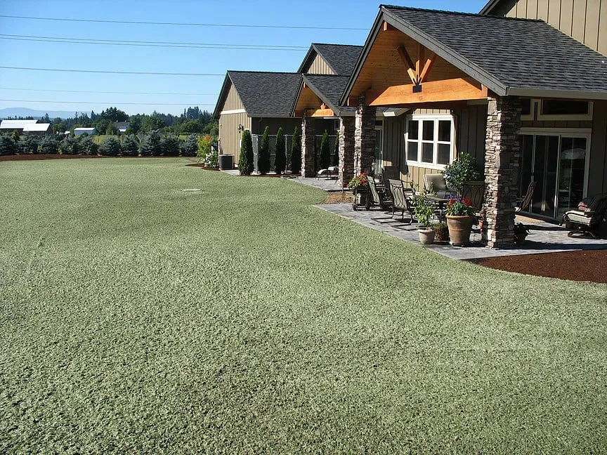 Affordable landscape installation in Boring, OR - Northwest Hydro-Mulchers