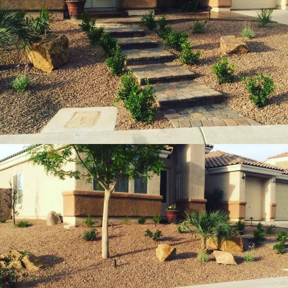 Top-rated yard cleanup service experts serving Las Vegas, NV - Northwest Landscape & Maintenance