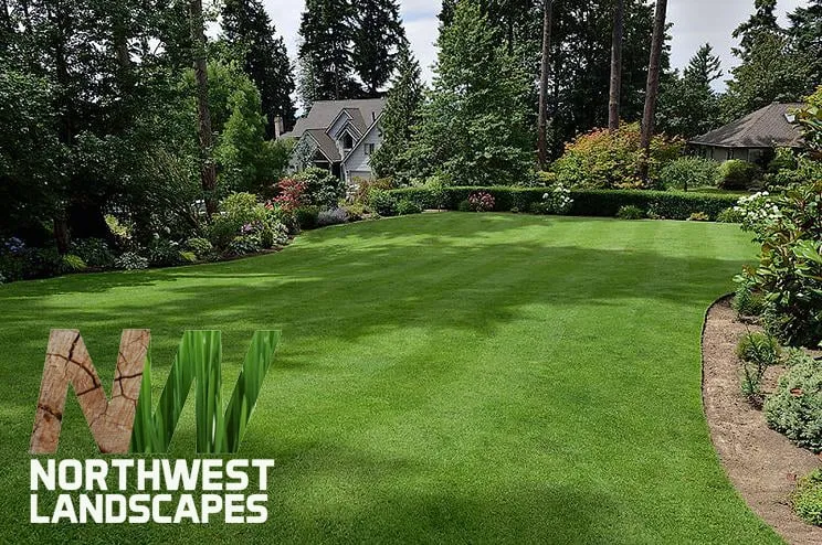 Reliable yard maintenance in Gig Harbor, WA by Northwest Landscapes
