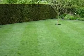Professional lawn mowing service in Gig Harbor, WA - Northwest Landscapes