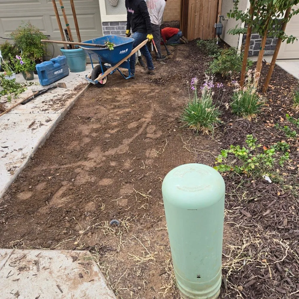 Expert landscape installation near you across Fresno, CA - Northwest Landscaping
