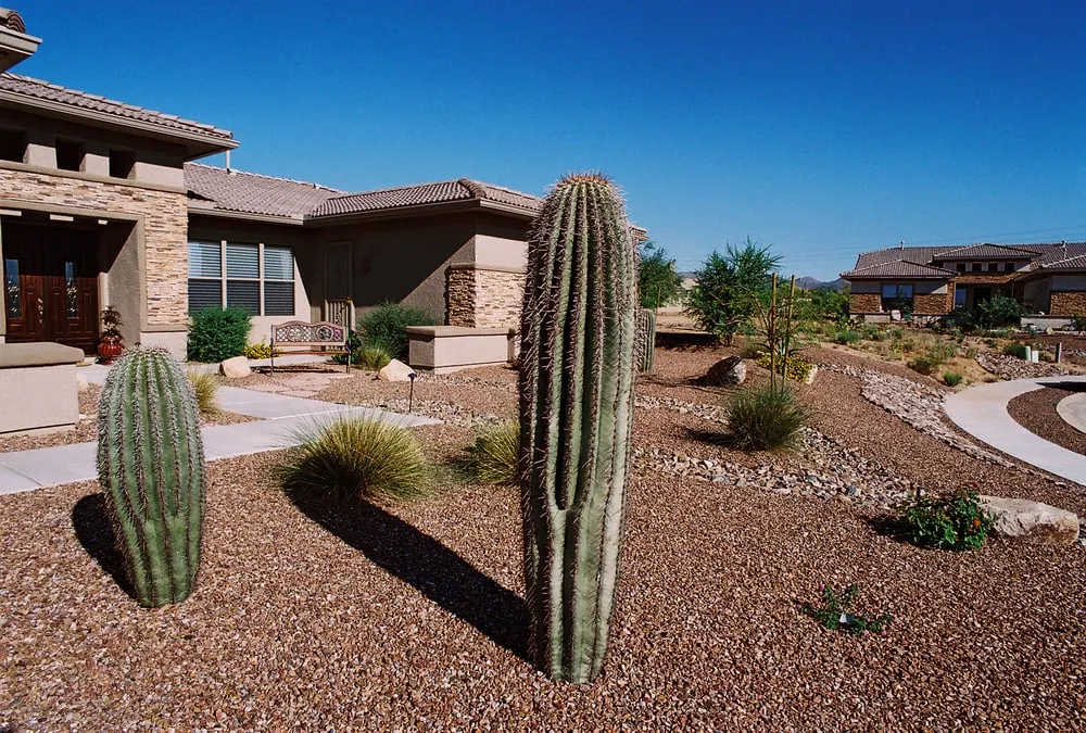 Expert lawn mowing service near you in Tucson, AZ by Northwest Landscaping