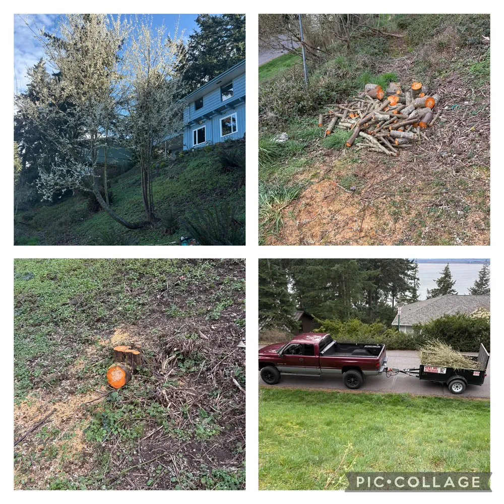 Professional landscape installation for outdoor upgrades across Bellingham, WA - Northwest Lawn & Landscapes