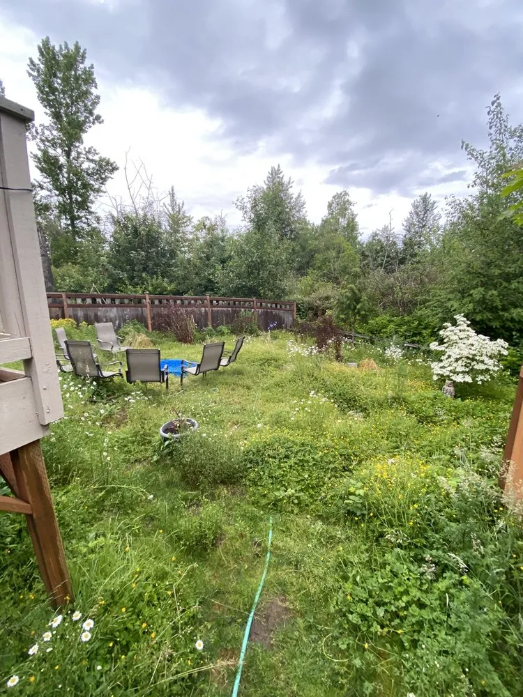 Professional outdoor landscaping in Bellingham, WA - Northwest Lawn & Landscapes