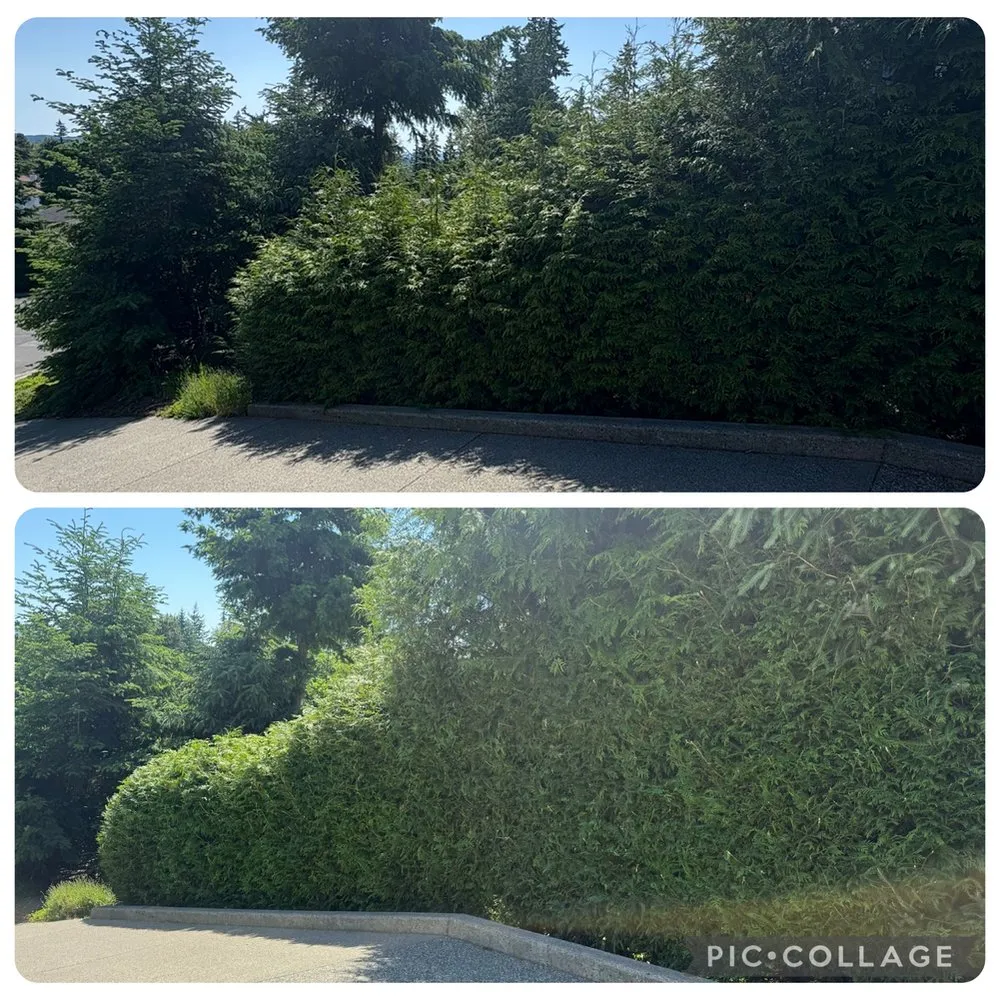 Professional garden landscaping in Bellingham, WA - Northwest Lawn & Landscapes