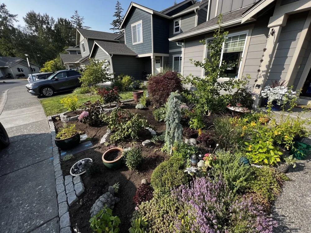 Expert yard cleanup service experts serving Bellingham, WA - Northwest Lawn & Landscapes