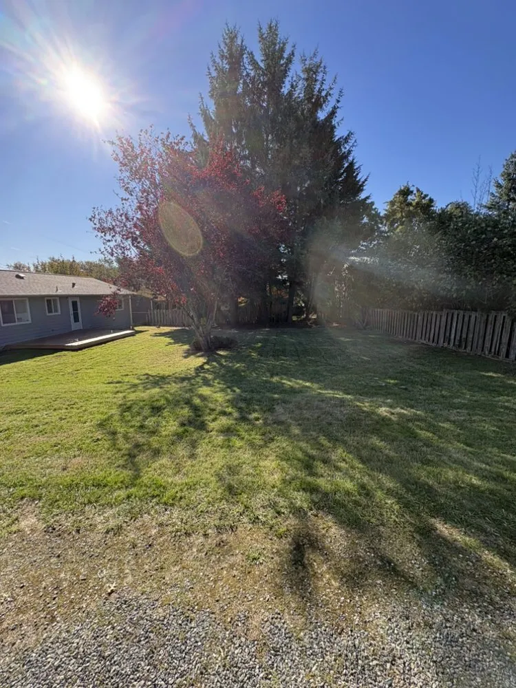 Top-rated landscape installation for outdoor upgrades in Bellingham, WA by Northwest Lawn & Landscapes