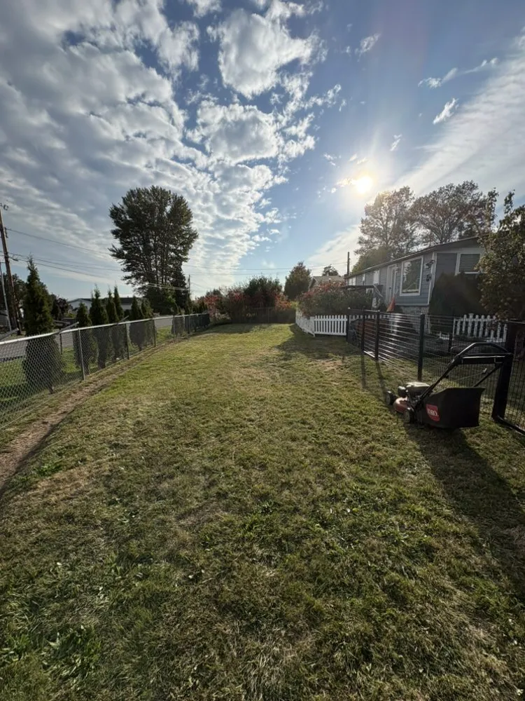Reliable yard maintenance for residential properties across Bellingham, WA - Northwest Lawn & Landscapes