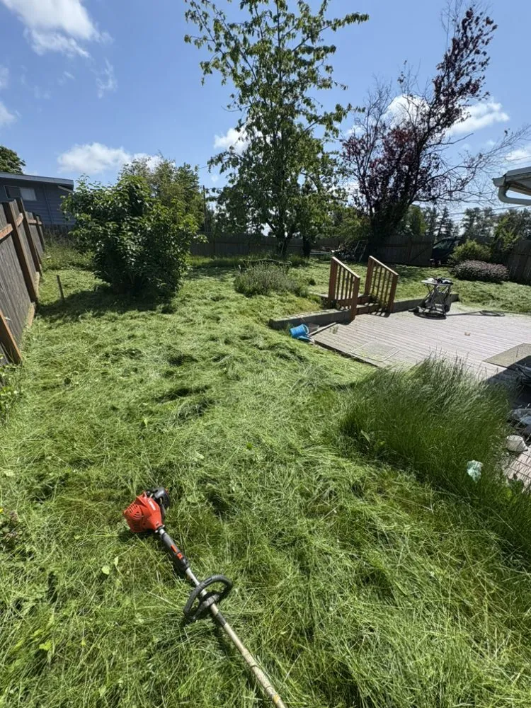 Custom yard maintenance in Bellingham, WA - Northwest Lawn & Landscapes