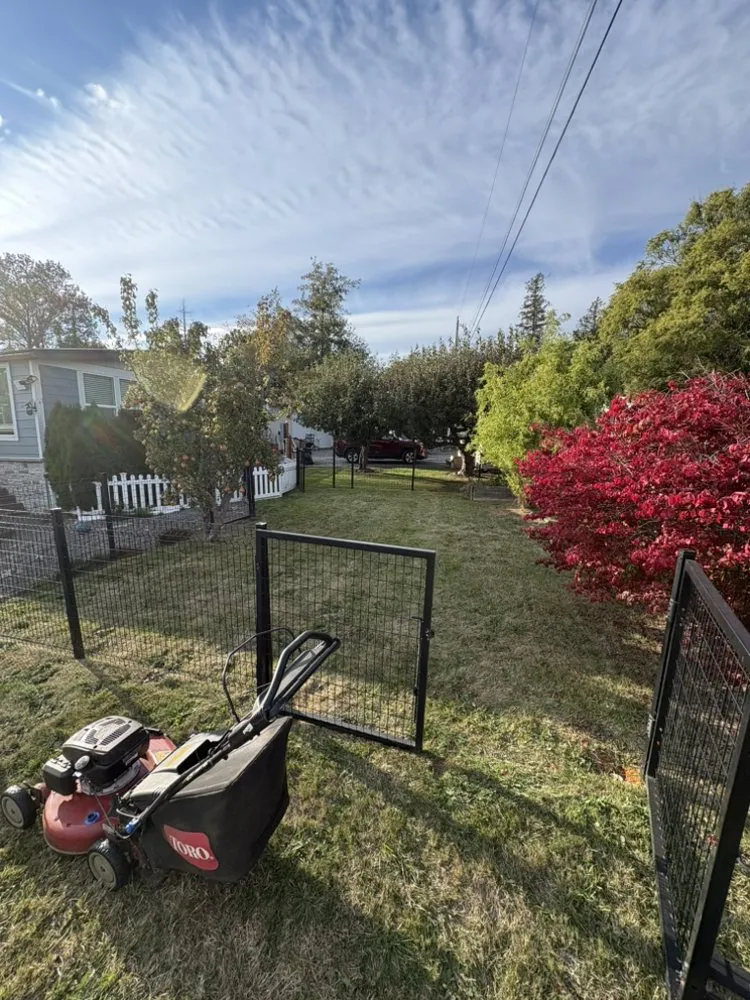 Professional landscape installation near you across Bellingham, WA - Northwest Lawn & Landscapes