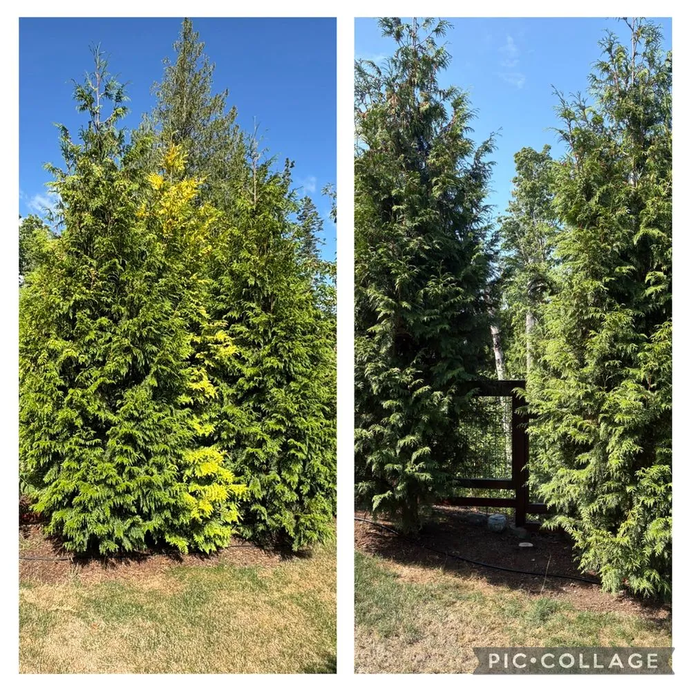 Local lawn mowing service with custom design across Bellingham, WA - Northwest Lawn & Landscapes