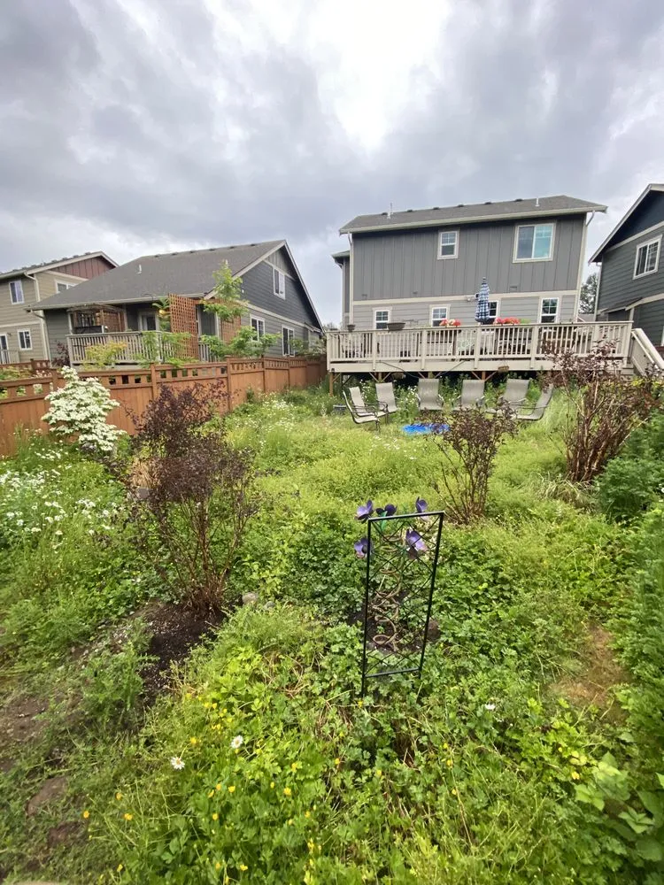 Professional landscape installation with custom design across Bellingham, WA - Northwest Lawn & Landscapes