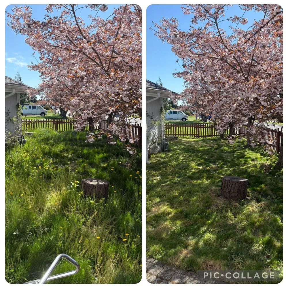 Reliable garden landscaping for residential properties across Bellingham, WA - Northwest Lawn & Landscapes