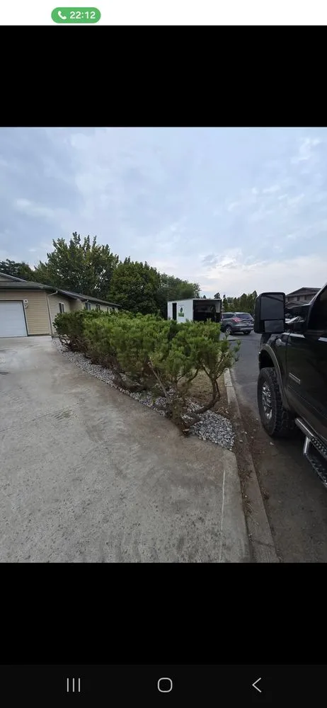 Custom yard cleanup service in Wilbur, WA by Northwest Lawn Legends
