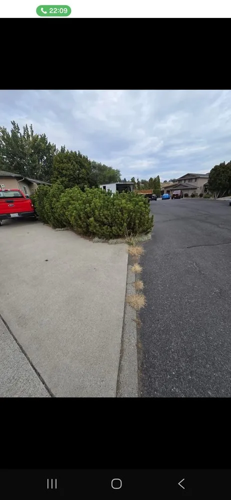 Affordable yard cleanup service experts serving Wilbur, WA - Northwest Lawn Legends