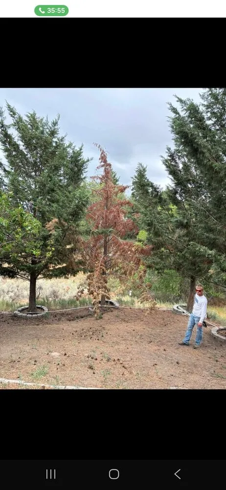 Custom garden landscaping experts serving Wilbur, WA - Northwest Lawn Legends
