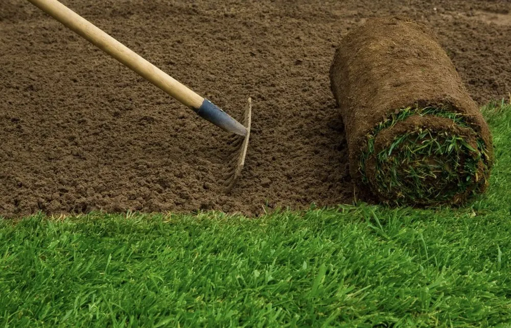 Reliable yard cleanup service in Summerfield, NC by Northwest Lawns