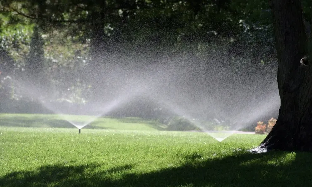 Professional landscape installation in Summerfield, NC - Northwest Lawns