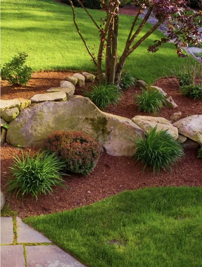 Expert lawn care service for homes across Summerfield, NC - Northwest Lawns