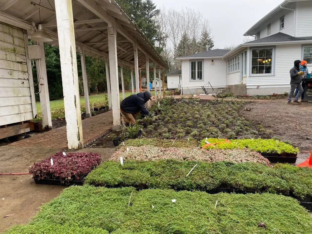 Top-rated landscaping services experts serving Portland, OR - Northwest Native Landscapes