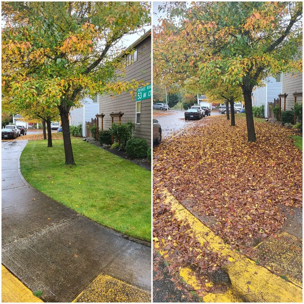 Local garden landscaping experts serving Puyallup, WA - Northwest Seasons Landscaping